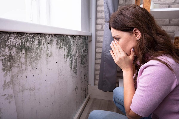 Mold Solutions Home Services team member inspecting a property
