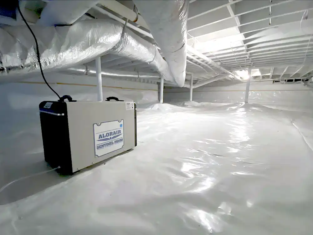 Mold Solutions Home Services providing crawl space mold remediation in Metro Atlanta, Georgia
